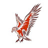 hawk717